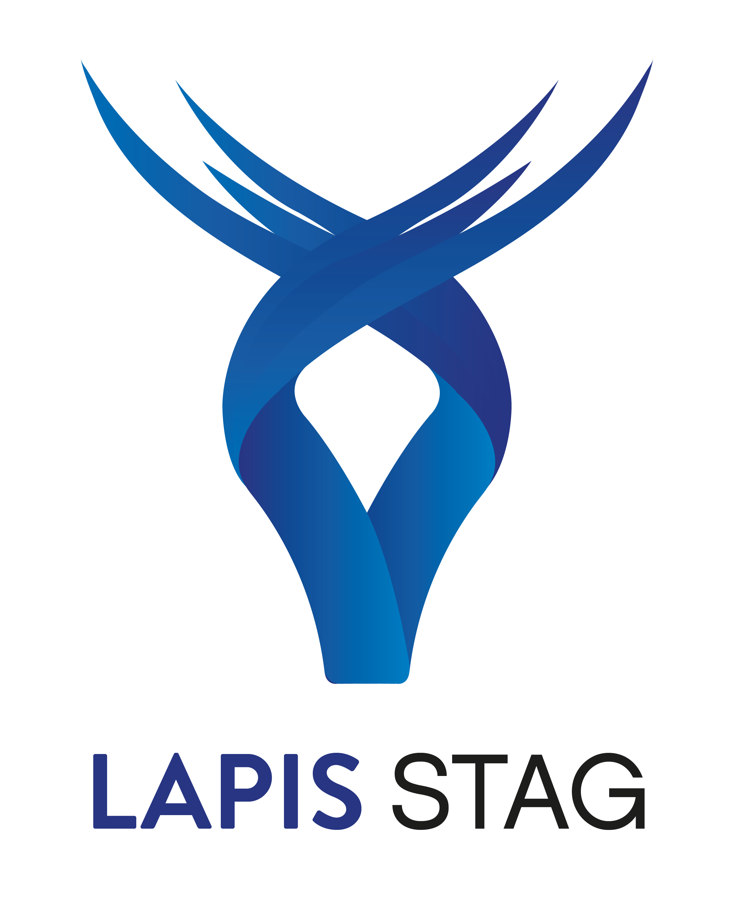 Lapis Stag Digital Marketing Agency